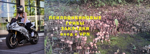 стафф Алексеевка